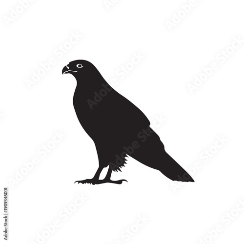 Caracara silhouette vector depicting a predatory bird with hooked beak, clean lines, bold shape, scalable design, ideal for wildlife, educational, and nature projects.