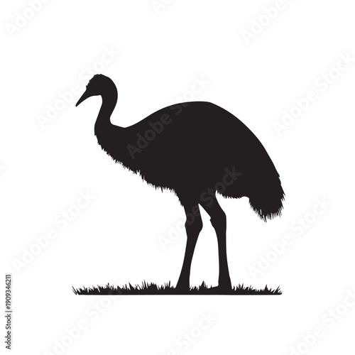 Cassowary silhouette vector depicting a large flightless bird with prominent casque, clean lines, bold shape, scalable design, ideal for wildlife, educational, and nature projects.