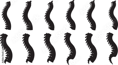 Collection of black dragon silhouettes on white background illustration