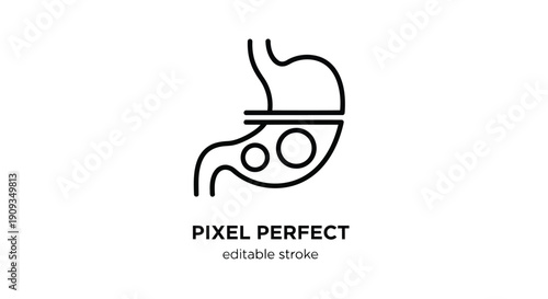 Vector Illustration of Stomach Anatomy with Editable Stroke Design