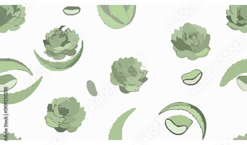 Doodle aloe vera seamless pattern with leaves and slices for wellness design
