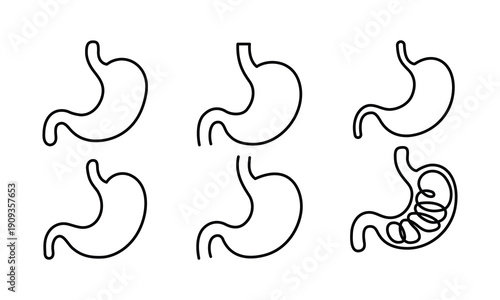 Human stomach anatomy line art illustrations