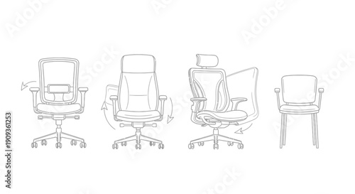 Office Chair Ergonomics: Adjustable Features and Design Variations