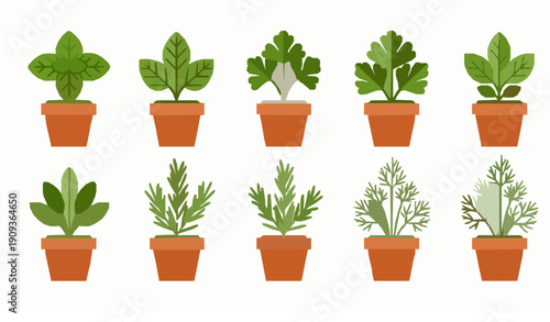 Minimal Flat Potted Kitchen Herb Icon Set for Cooking and Gardening Vector