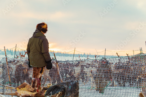 фотографія Reindeer herders herd a herd of reindeer into a corral