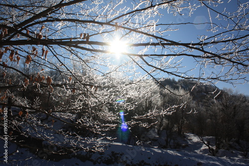 Beautiful winter landscape