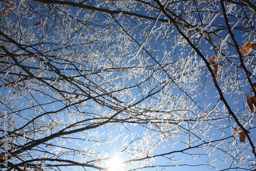 Beautiful winter landscape