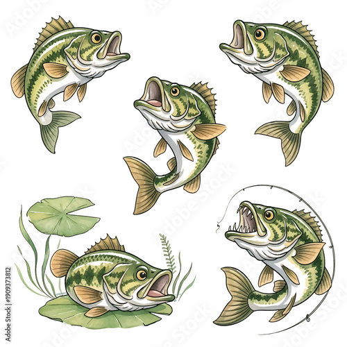 Set of colorful fish illustrations in a marine vector style