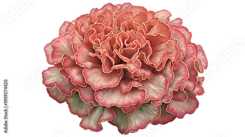 A pink flower with green leaves