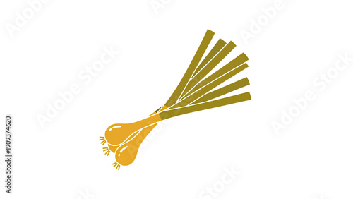 Vector illustration of fresh green onions with bulbs and stems on a white background