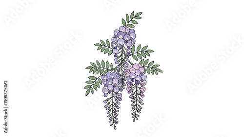 Digital illustration of wisteria flowers, with cascading purple and pink blooms and green leaves