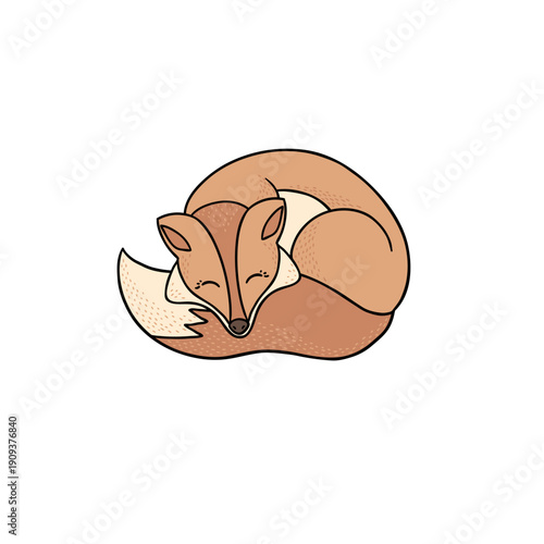 Cute hand-drawn sleeping fox curled up in a ball illustration with textured details isolated on a plain white background