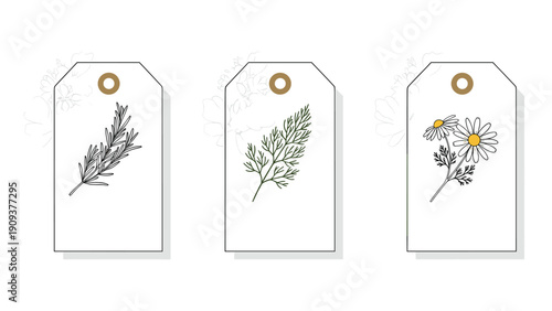 Three white gift tags featuring delicate line drawings of herbs and flowers including rosemary, dill, and chamomile.