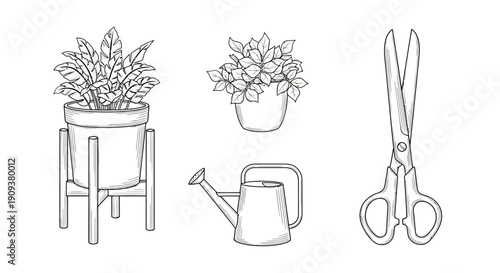 Hand-drawn illustration of potted plants, watering can, and scissors, gardening tools, line art