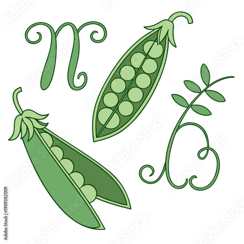 Green peas forming zodiac signs astrology cartoon