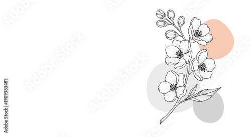 Elegant black and white line art of a flowering branch with delicate blossoms and buds over soft gray and peach abstract circles.