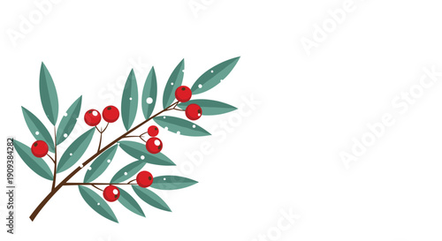 Delicate green branch decorated with multiple clusters of small bright red berries on a plain white background.