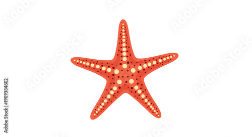 Bright orange sea star or starfish with yellow spots and small red dots isolated on a simple white background for marine designs.