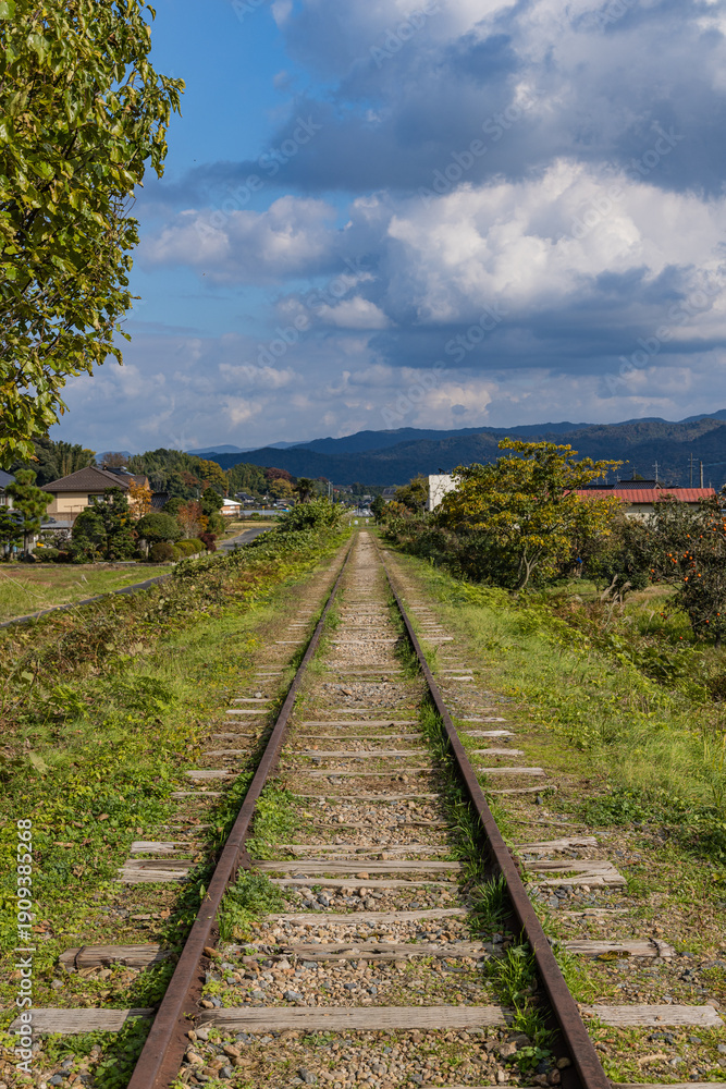 Fototapeta premium 日本 鳥取県倉吉市関金町にある旧国鉄倉吉線の廃線跡の線路