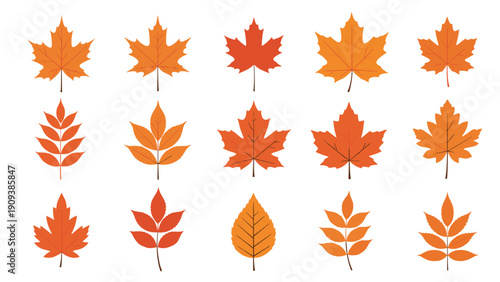 Grid arrangement of various autumn leaves in different shapes and vibrant shades of orange and red representing the fall season beauty.