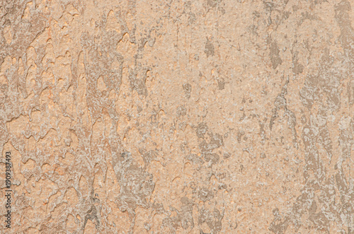 Wallpaper Mural Brown textured concrete background for design. Copy space Torontodigital.ca