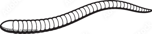 Soft Plastic Fishing Worm Top View Black and White Line Art