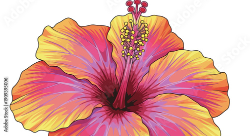 Wallpaper Mural Vibrant tropical hibiscus flower illustration with colorful petals on a white background. Torontodigital.ca