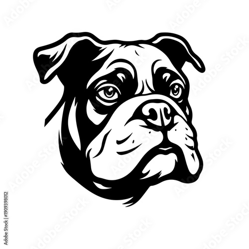 vector illustration of a dog