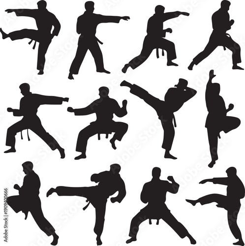 collection of karate silhouettes in various poses and movements