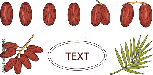 Vibrant date palm fruits and leaves for culinary designs