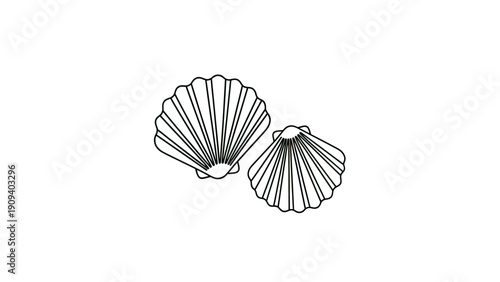 Two stylized seashells in black outline on a white background, minimal and simple