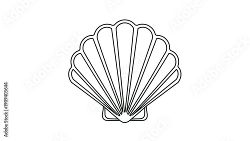 A black and white line drawing of a scallop shell, centered on a white background