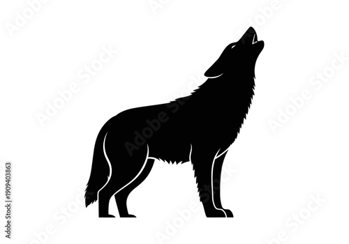 black wolf vector illustration