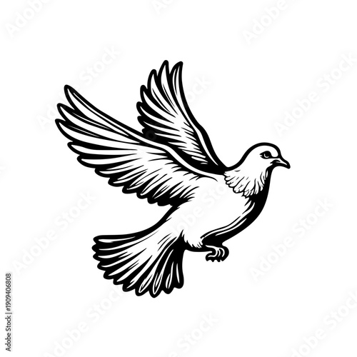 dove of peace vector