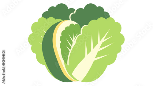 Abstract illustration of a green leafy vegetable with a light cream core and dark green highlights