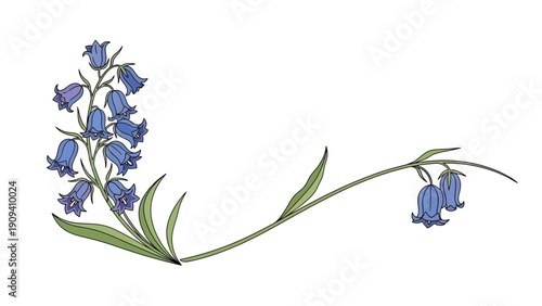 An illustration features bluebell flowers, stems, and leaves, set against a plain white background