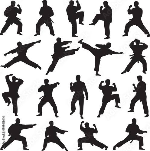 silhouette of karate practitioners in various fighting poses on white background