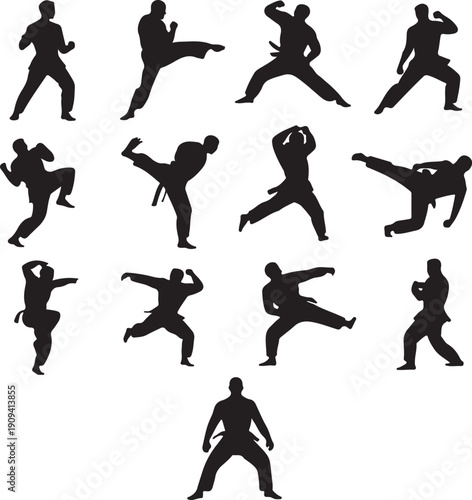 Silhouettes of men performing various martial arts kicks and punches on white background