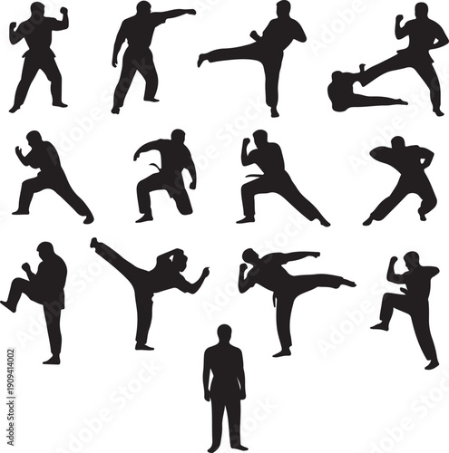 Silhouettes of men performing various martial arts kicks and punches