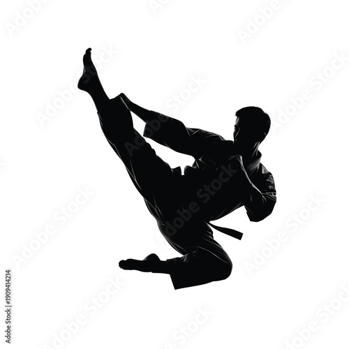 Silhouette of a martial artist executing a high kick in mid-air, viewed from the side, showcasing dynamic movement and athleticism in a dramatic pose