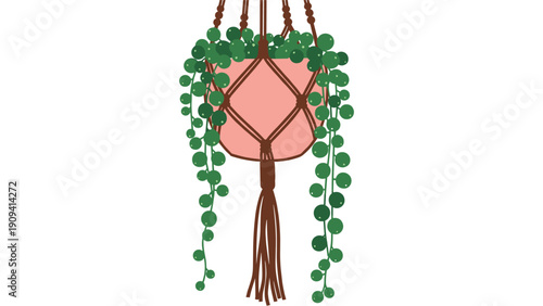 Beautiful string of pearls succulent plant hangs in a decorative pink pot with a brown macrame hanger against a white backdrop.