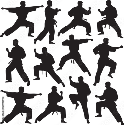 Silhouettes of people doing karate poses and movements