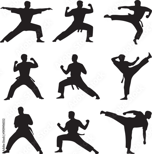 Silhouettes of people practicing karate poses and movements