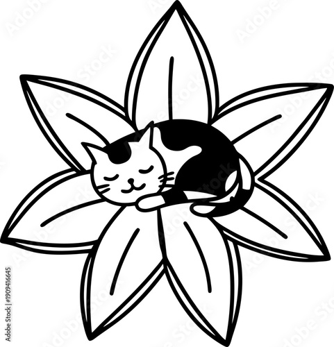 Sleeping cat curled up on large flower petals outline, peaceful resting pet animal illustration