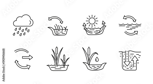 Water cycle and wetland ecosystem line icons set, showing rain, evaporation, transpiration, and groundwater processes.