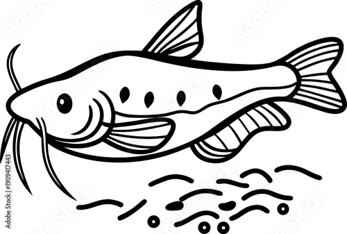 Catfish swimming underwater with whiskers and fins, river or lake freshwater fish illustration