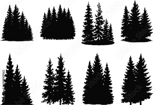 Evergreen pine tree forest silhouettes set, black conifer woodland clusters isolated on white background vector landscape illustration collection