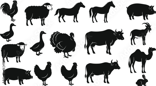 Farm animal silhouettes collection isolated on white background featuring cow sheep horse pig chicken duck goat rabbit, rural livestock icons set, black vector illustration