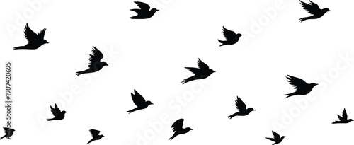 Flying bird silhouettes set, black flock in motion isolated on white background wildlife freedom vector illustration
