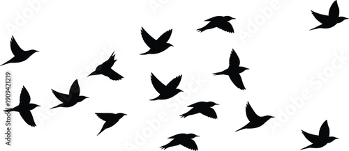 Flying birds silhouette collection, black flock in motion isolated on white background wildlife freedom vector illustration